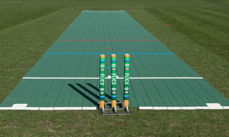 Cricket Pitch