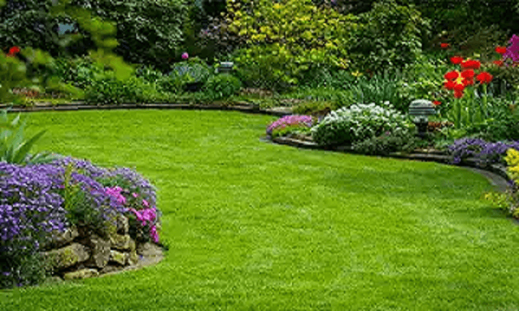 Landscaped Garden