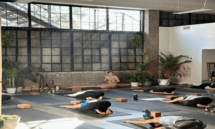 Yoga Area